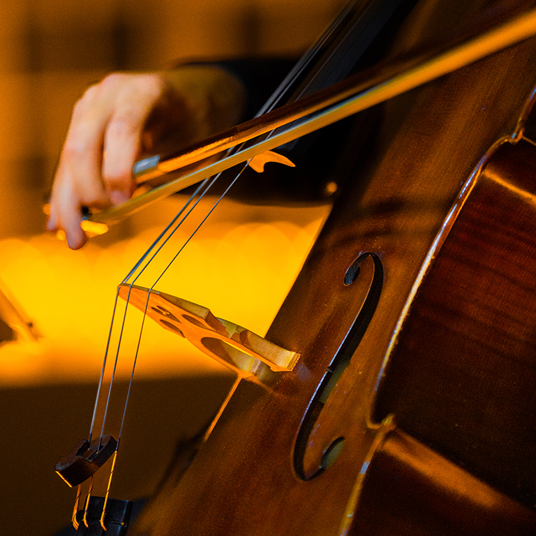 Candlelight Tribute to Helene Fischer