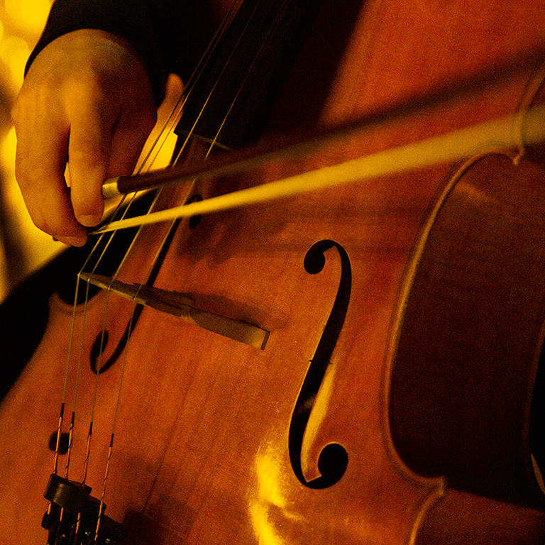 Candlelight Tribute to Helene Fischer